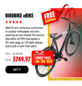 BirdBike eBike